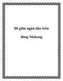 Đi giữa ngàn đảo trên dòng Mekong