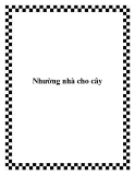 Nhường nhà cho cây