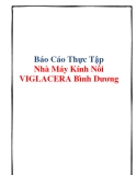 Báo Cáo Thực Tập Nhà Máy Kính Nổi VIGLACERA Bình Dương