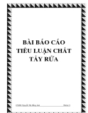 BÀI BÁO CÁO TIỂU LUẬN CHẤT TẨY RỬA