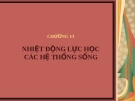 NHIỆT ĐỘNG LỰC HỌC CÁC HỆ THỐNG SỐNG