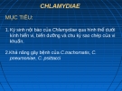 Bài giảng: Chlamydia