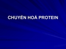 Bài giảng: CHUYỂN HOÁ PROTEIN