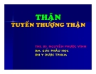 Bài giảng: Tuyến thượng thận