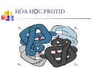 Hóa học Protid