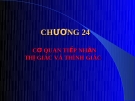 CƠ QUAN TIẾP NHẬN THỊ GIÁC VÀ THÍNH GIÁC   