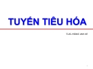 Tuyến tiêu hóa