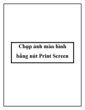 Chụp ảnh màn hình bằng nút Print Screen