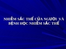 NHIỄM SẮC THỂ CỦA NGƯỜI  VÀ BỆNH HỌC NHIỄM SẮC THỂ