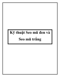 Kỹ thuật Seo mũ đen và Seo mũ trắng