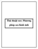 Thủ thuật seo: Phương pháp SEO  hình ảnh