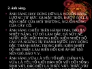 Ánh sáng mặt trời