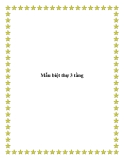 Mẫu biệt thự 3 tầng
