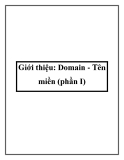 Giới thiệu: Domain - Tên miền (phần I)