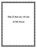 Một số thao tác với cửa sổ MS Word