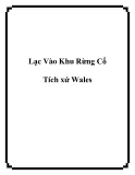 Lạc Vào Khu Rừng Cổ Tích xứ Wales