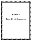 MS Word: Làm việc với Documents