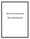 MS Excel: Thao tác dữ liệu trong bảng tính