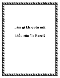 Làm gì khi bạn quên mật khẩu của file Excel?