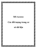 MS Access: Các đối tượng trong cơ sở dữ liệu