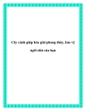 Cây cảnh giúp hóa giải phong thủy, bảo vệ ngôi nhà của bạn