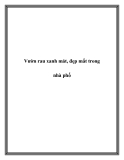 Vườn rau xanh mát, đẹp mắt trong nhà phố
