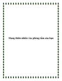 Mang thiên nhiên vào phòng tắm của bạn