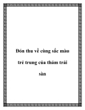 Đón thu về cùng sắc màu trẻ trung của thảm trải sàn