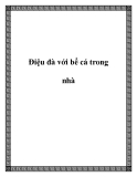 Điệu đà với bể cá trong nhà