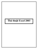 Thủ thuật Excel 2003