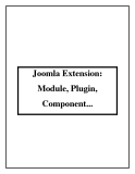 Joomla Extension: Module, Plugin, Component...