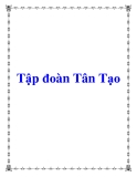 Tập đoàn Tân Tạo 