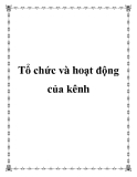 Tổ chức và hoạt động của kênh 