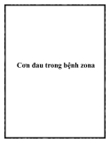 Cơn đau trong bệnh zona