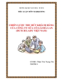 Tiểu luận: CHIẾN LƯỢC THU HÚT KHÁCH HÀNG CỦA CÔNG TY SỮA CÔ GÁI HÀ LAN (DUTCH LADY VIỆT NAM)