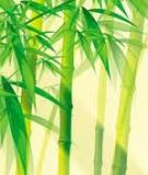 Ca Dao Tục Ngữ Việt Nam 7