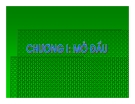 Bài giảng - Công tác xây dựng cầu