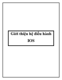 Giới thiệu hệ điều hành IOS