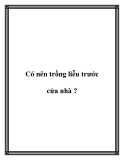 Có nên trồng liễu trước cửa nhà ?