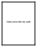 Giảm stress nhờ cây xanh