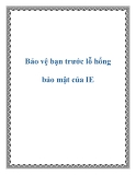 Bảo vệ bạn trước lỗ hổng bảo mật của IE