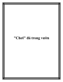 "Chơi" đá trong vườn