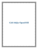 Giới thiệu OpenSSH