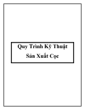 Quy Trình Kỹ Thuật Sản Xuất Cọc