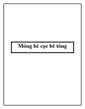 Móng bè cọc bê tông