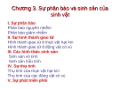 Sinh học đại cương- Chương 3: Sự phân bào và sinh sản của sinh vật