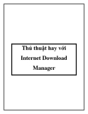 Thủ thuật hay với Internet Download Manager