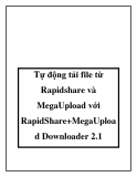 Tự động tải file từ Rapidshare và MegaUpload với RapidShare+MegaUploa d Downloader 2.1