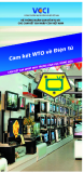 Hệ thống ngắn gọn về WTO và các cam kết gia nhập của Việt Nam - Cam kết WTO về điện tử