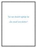 Tại sao doanh nghiệp lại cần email newsletter?